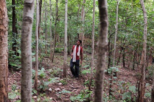 對原住民來說，要名正言順拒絕外來者大規模的伐林行動，獲政府承認部落享有管理和使用森林資源的權利是至關重要的一步。（攝影︰Rohan Mukherji）